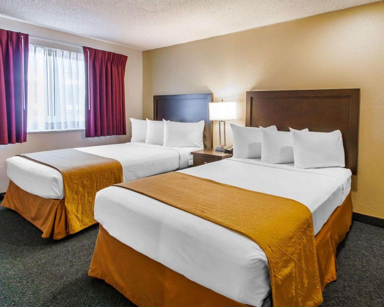 ספרינגפילד Quality Inn & Suites מראה חיצוני תמונה